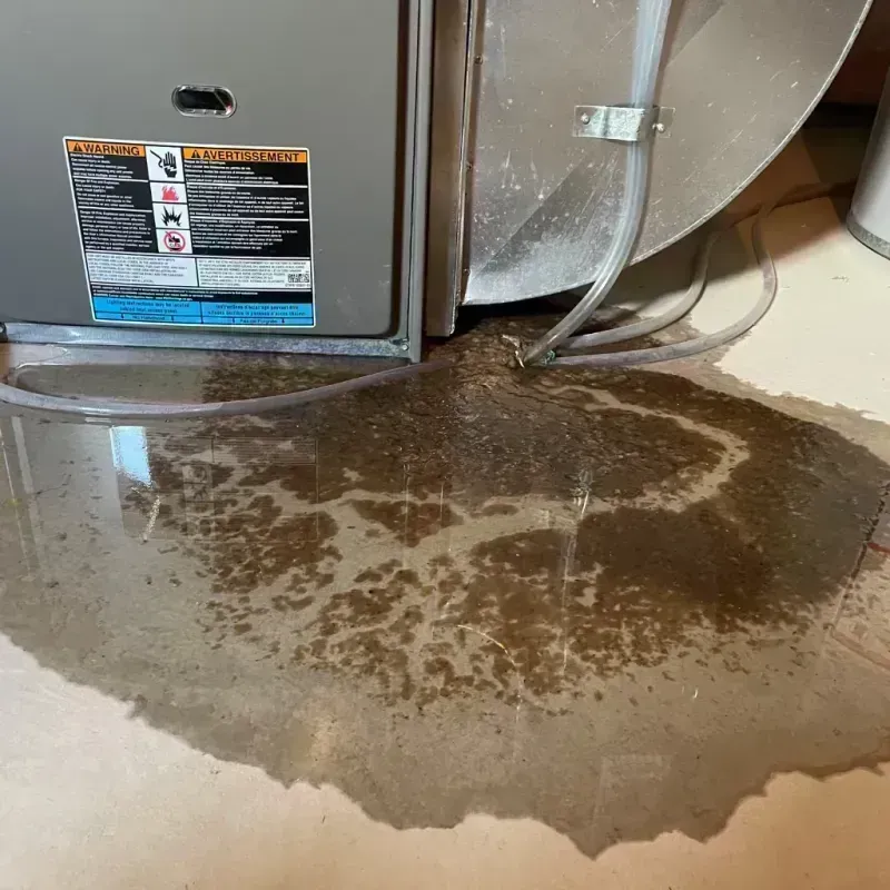 Appliance Leak Cleanup in Ripley County, MO